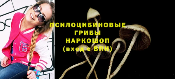 соль ск Алексин
