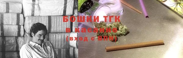 гидра Абаза