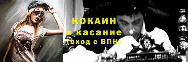 гидра Абаза