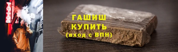 гидра Абаза