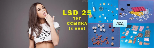 гидра Абаза