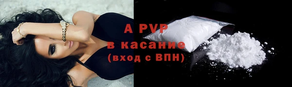 гидра Абаза