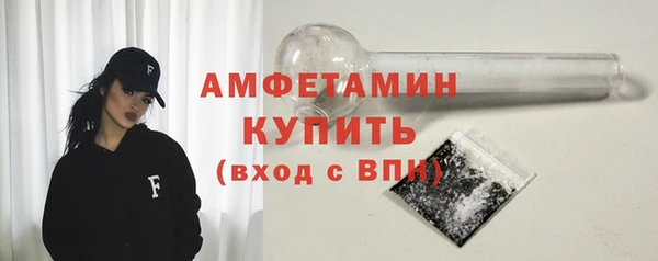 гидра Абаза