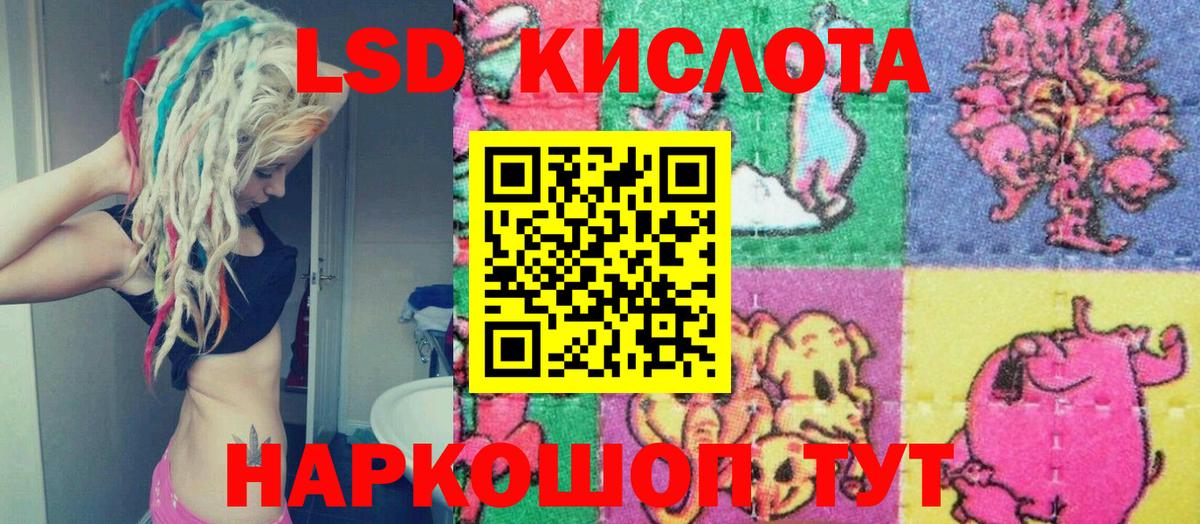 Камышлов  Наркотические марки 1500мкг  Вход с VPN  Наркотические марки 1500мкг 