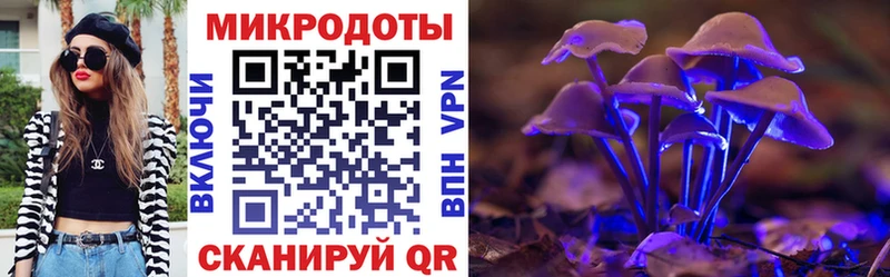 OMG вход  Камышлов  Псилоцибиновые грибы мухоморы  купить наркоту 