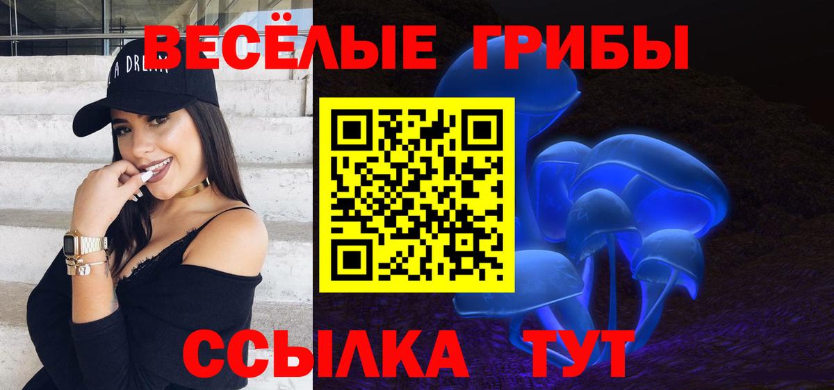 Галлюциногенные грибы MAGIC MUSHROOMS  Вход с VPN  Камышлов  Галлюциногенные грибы ЛСД 
