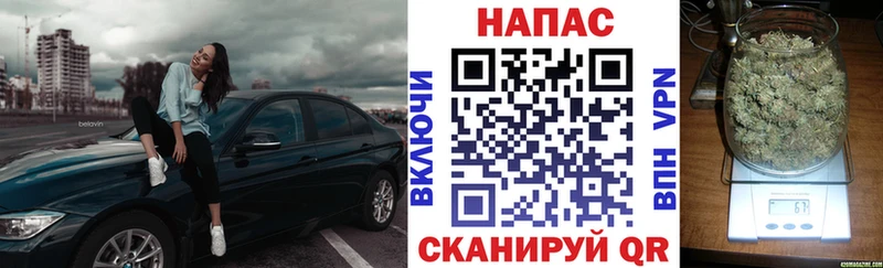 Канабис гибрид  купить   mega как зайти  Камышлов 
